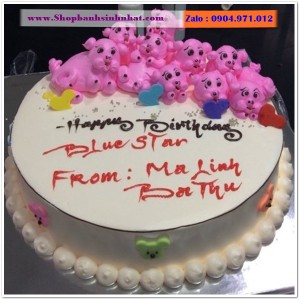 Bánh Sinh Nhật Con Heo Tuổi Hợi- Y09